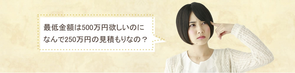 500万円欲しいのみお見積りは低くいの？